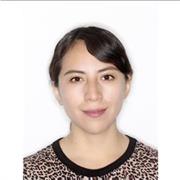 Clases didácticas de Artes Plásticas/Diseño grafico/Marketing Digital